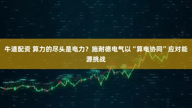 牛道配资 算力的尽头是电力？施耐德电气以“算电协同”应对能源挑战