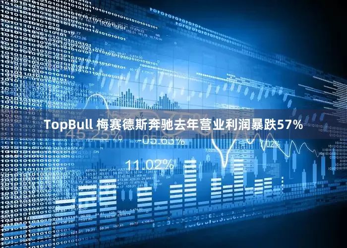 TopBull 梅赛德斯奔驰去年营业利润暴跌57%